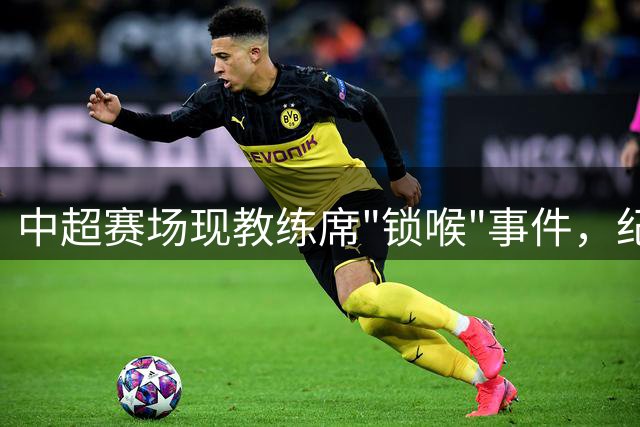 中超赛场现教练席"锁喉"事件，纪律处罚成焦点